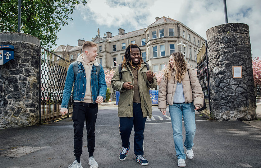 Mary Immaculate College (MIC)