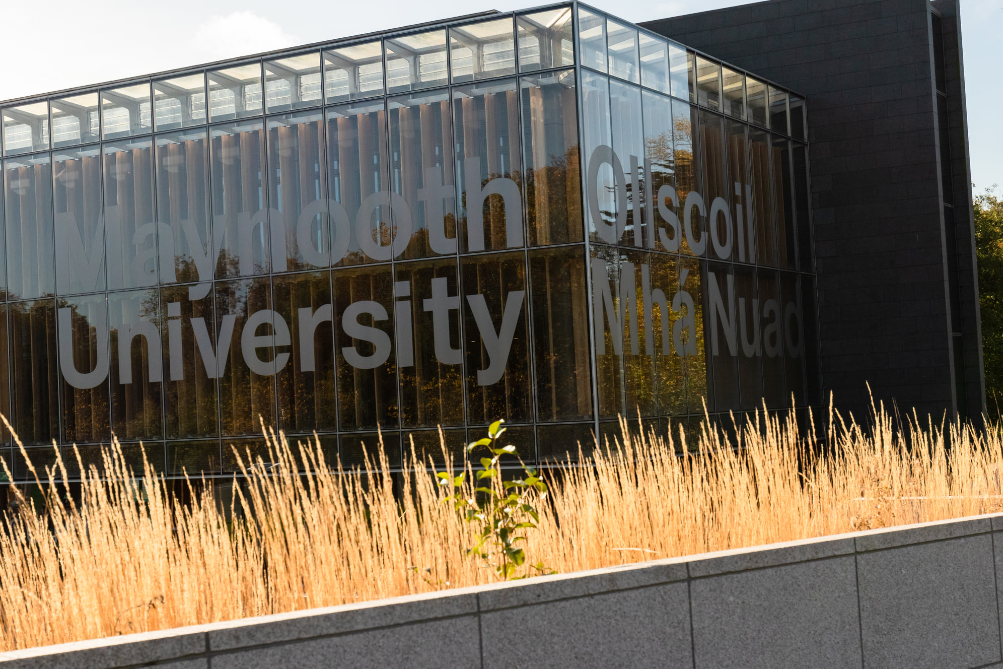 Maynooth University 1